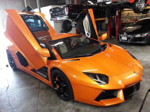 Lambo Tint